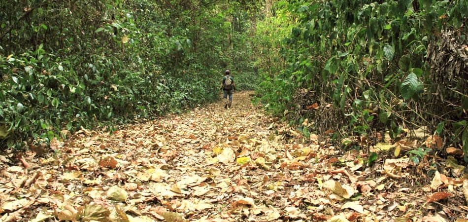 Namdapha Trek — photo 1