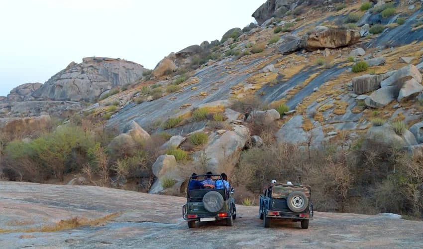 Udaipur with Jawai national park — photo 1