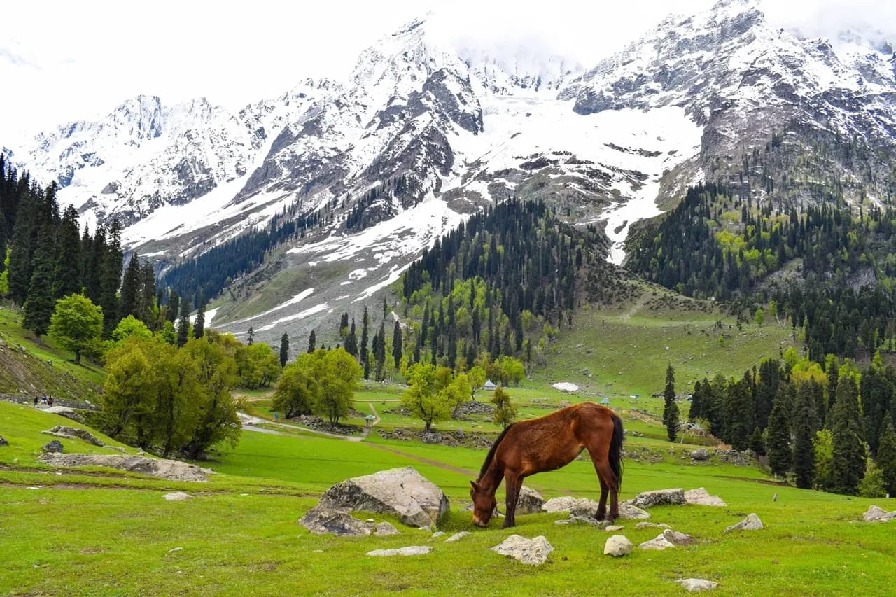 Heavenly Kashmir — photo 1