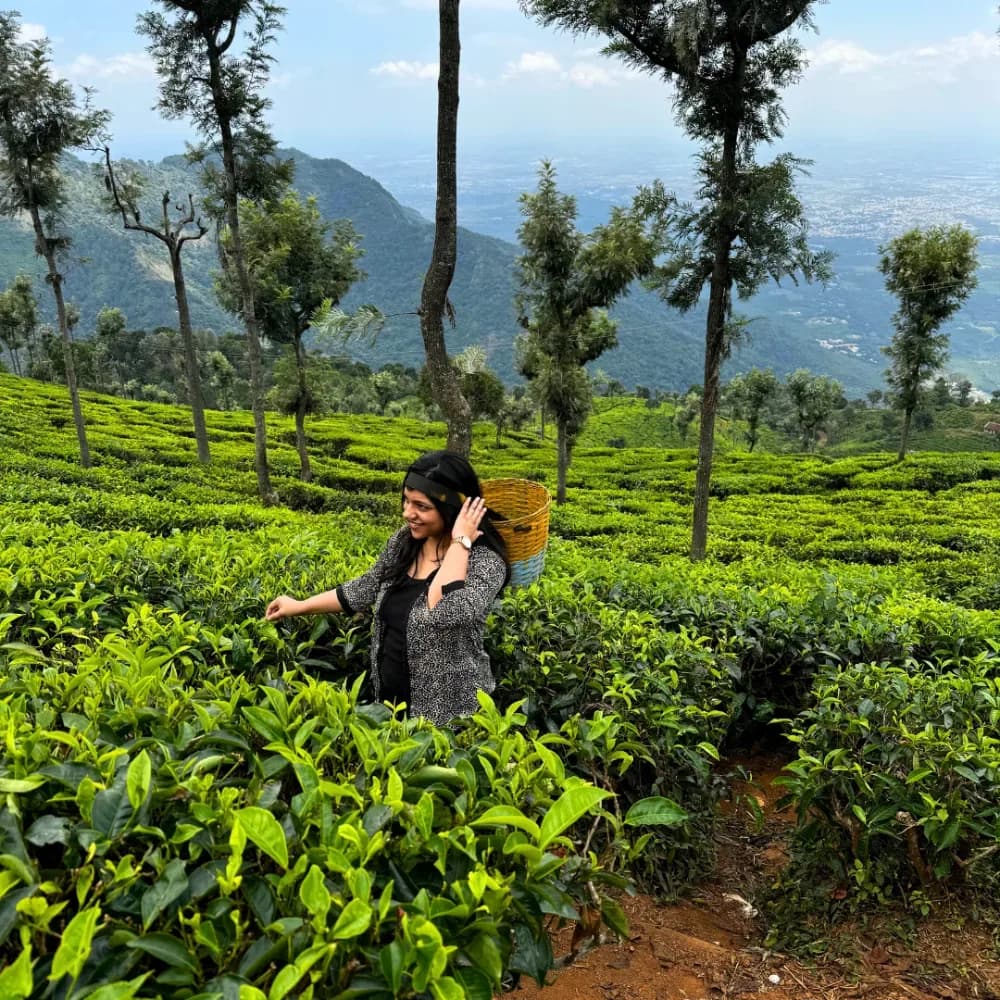 Ooty & Coonoor Weekend Getaway: 1N/2D — photo 1