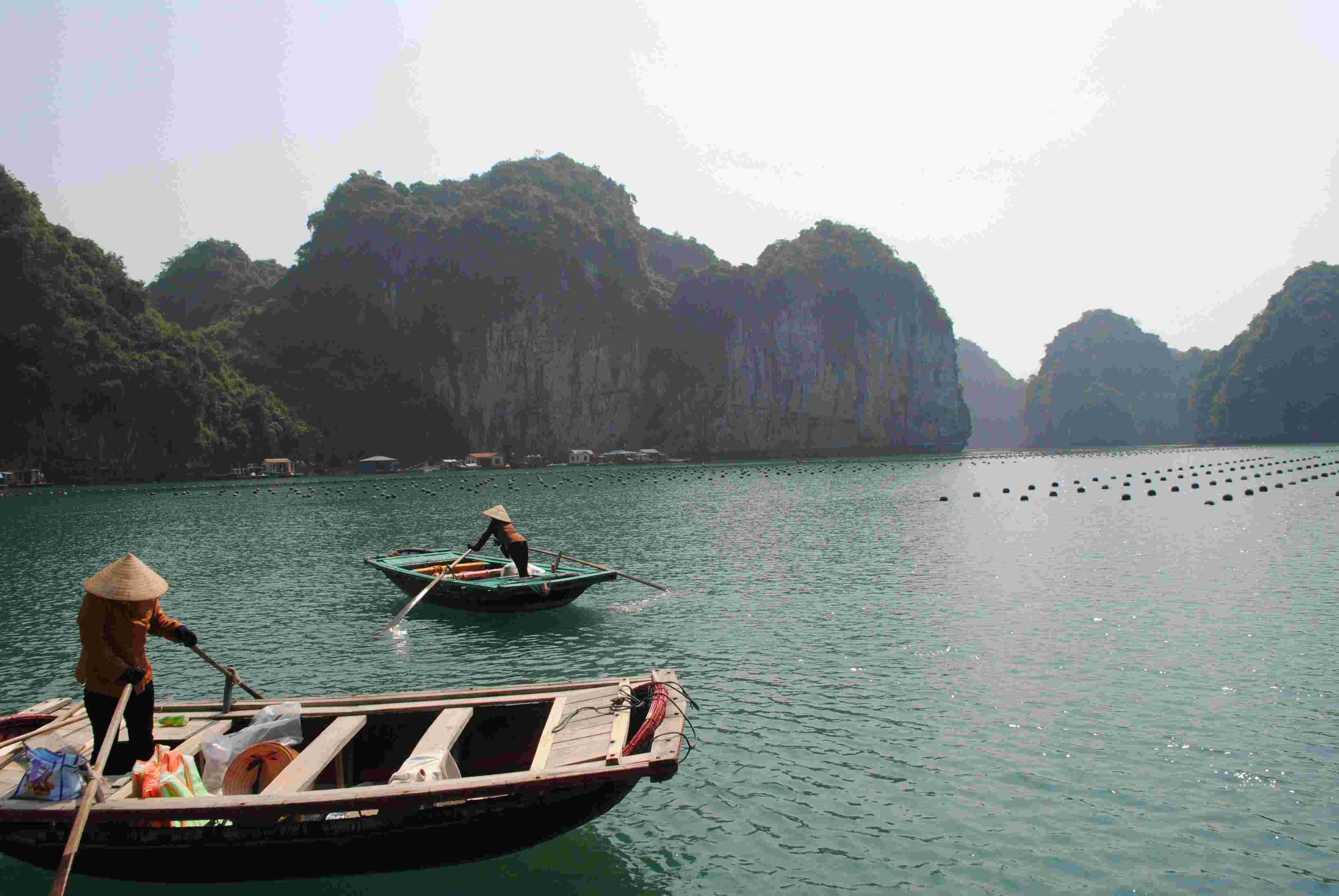 Vietnam — photo 1
